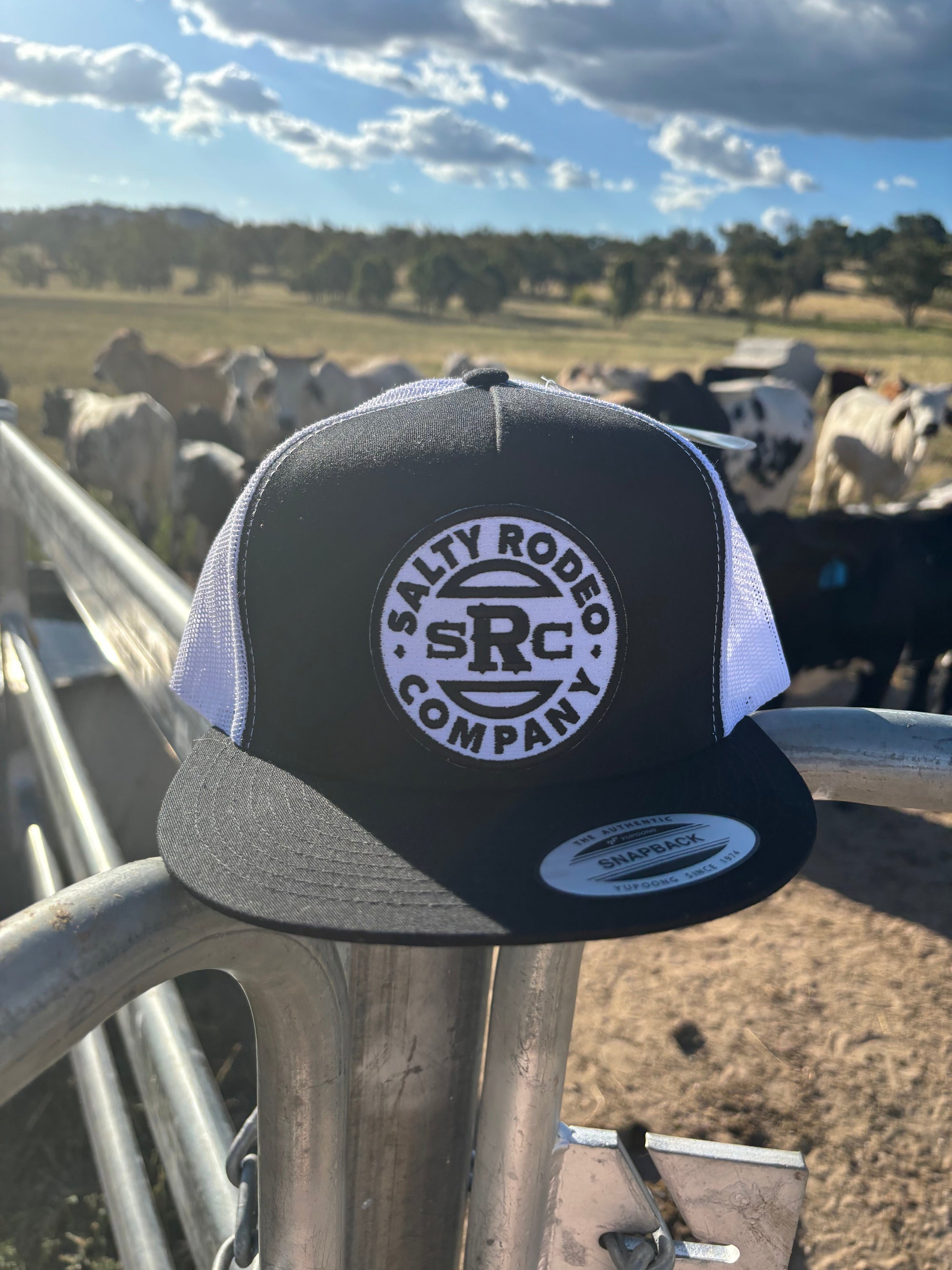 ~ Salty Rodeo Co