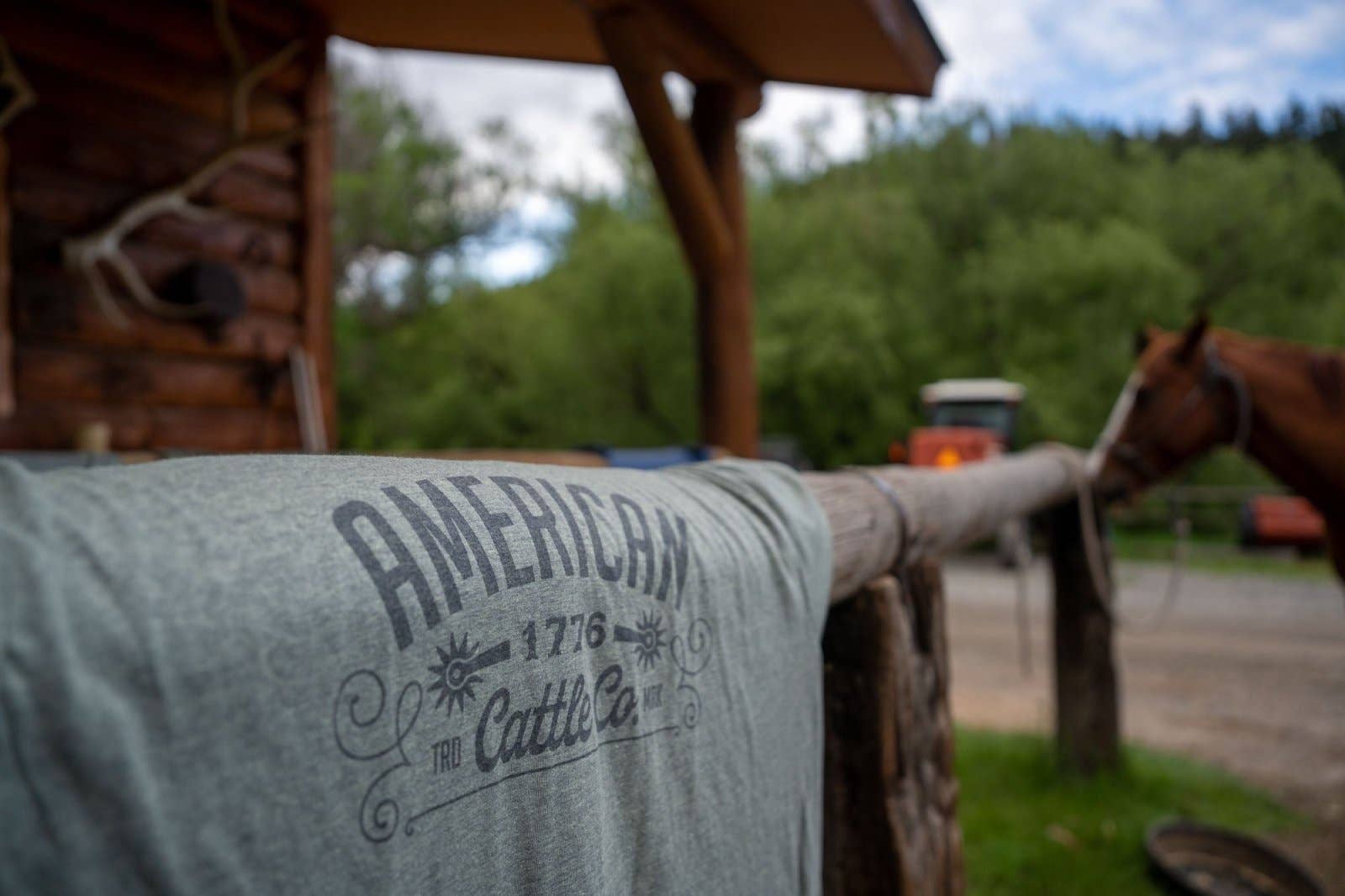 Western Tee: Sage / LG