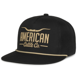 Longhorn Hat - White & Gold