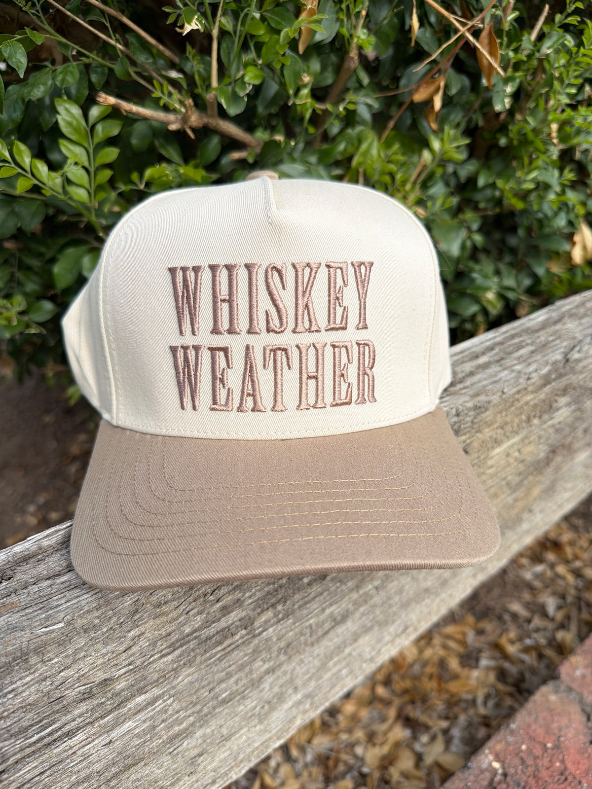 Whiskey weather Embroidered Cap: Beige