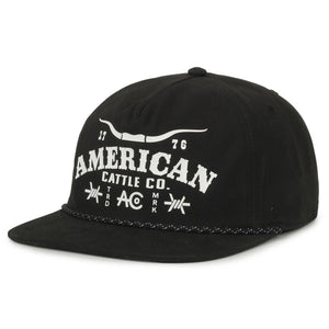 Longhorn Barb Hat