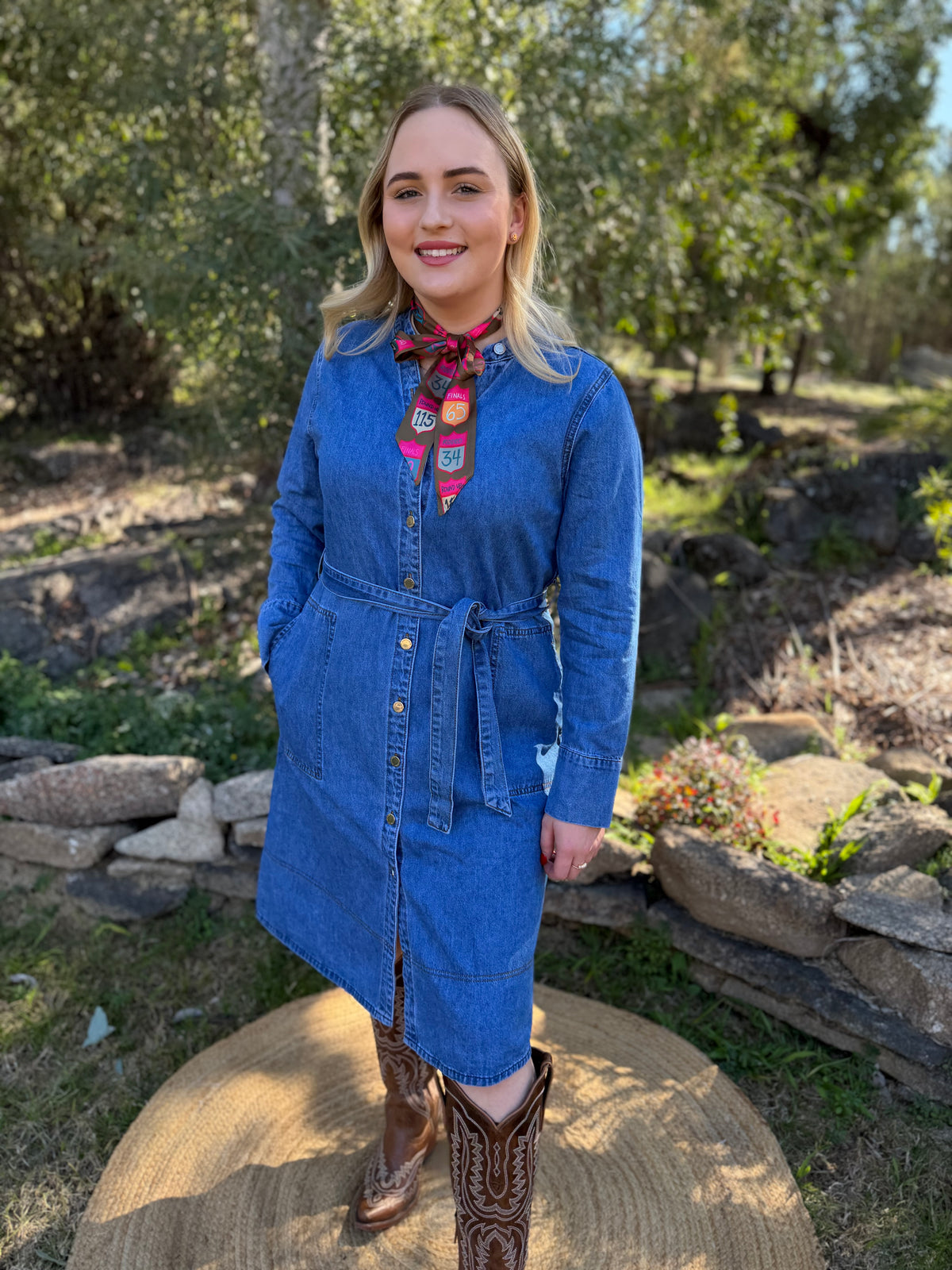 Light Wash Denim Dress