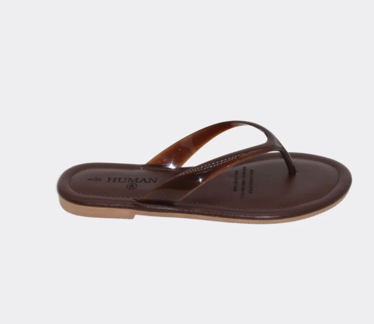 Sugar - choc shoe