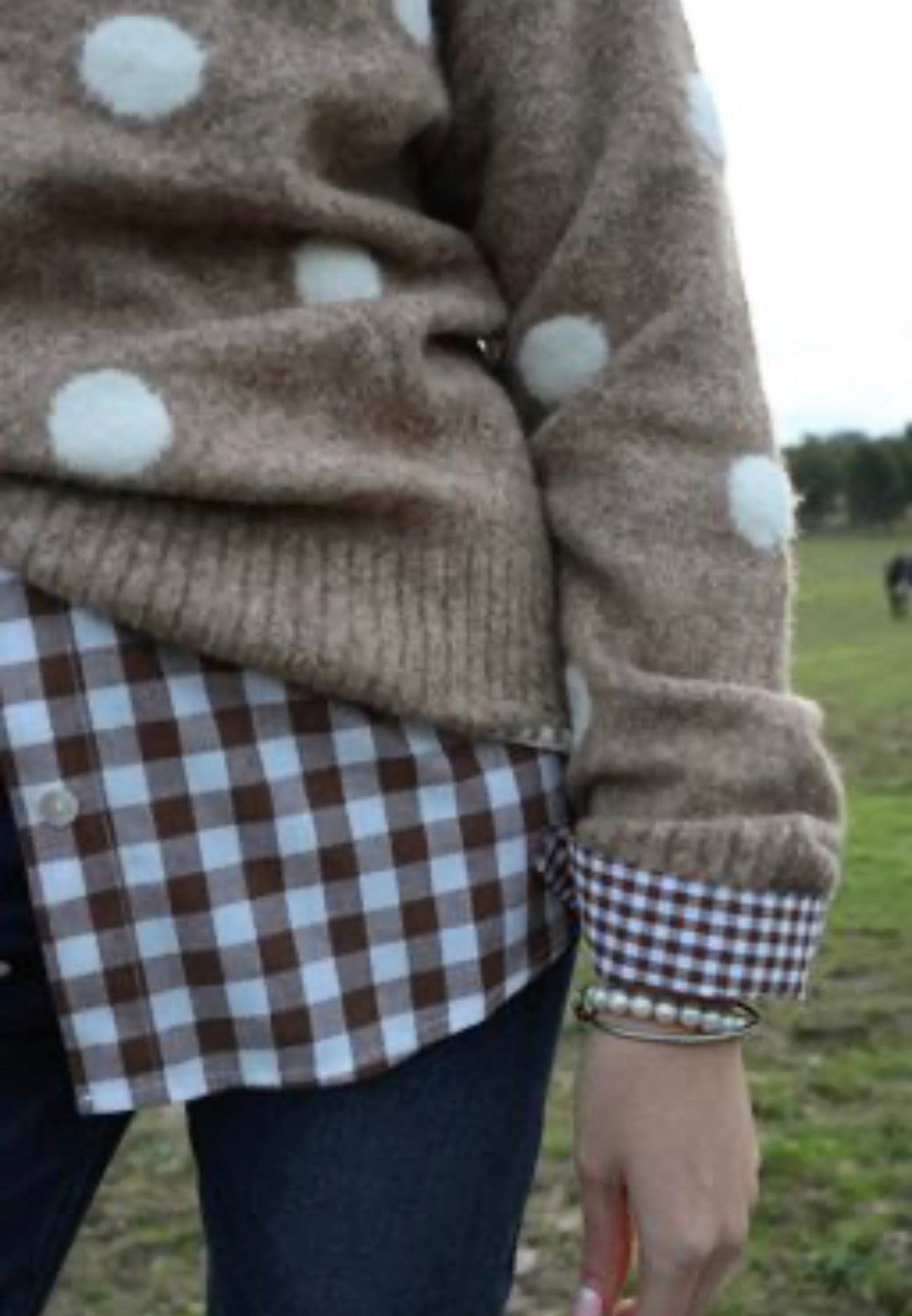 Check gingham shirt - chocolate