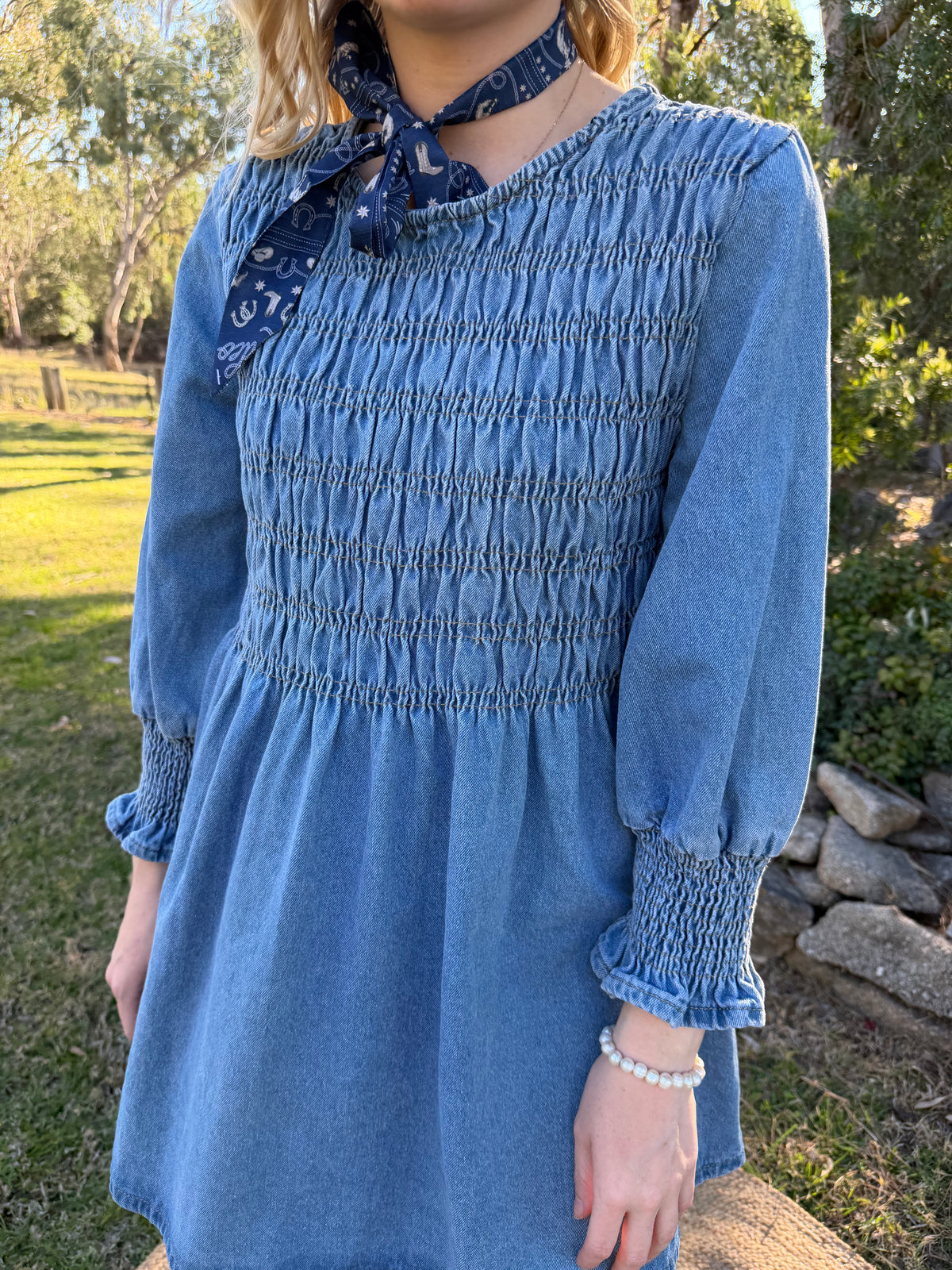 The Delaney Denim Dress