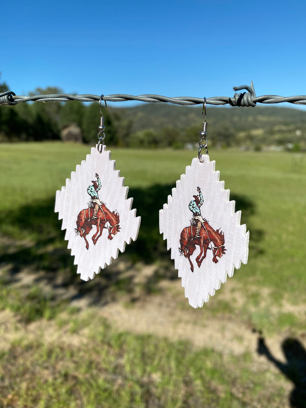 Western earrings 2024 online shopping