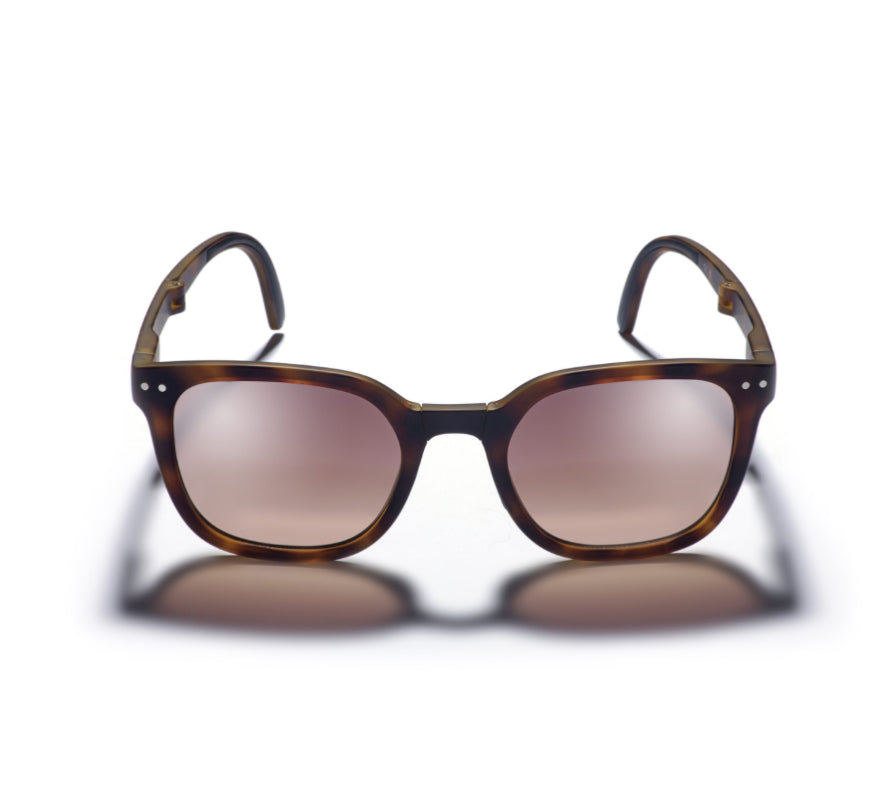 Gidgee Eyewear - Canter - Tortoise Sunglasses