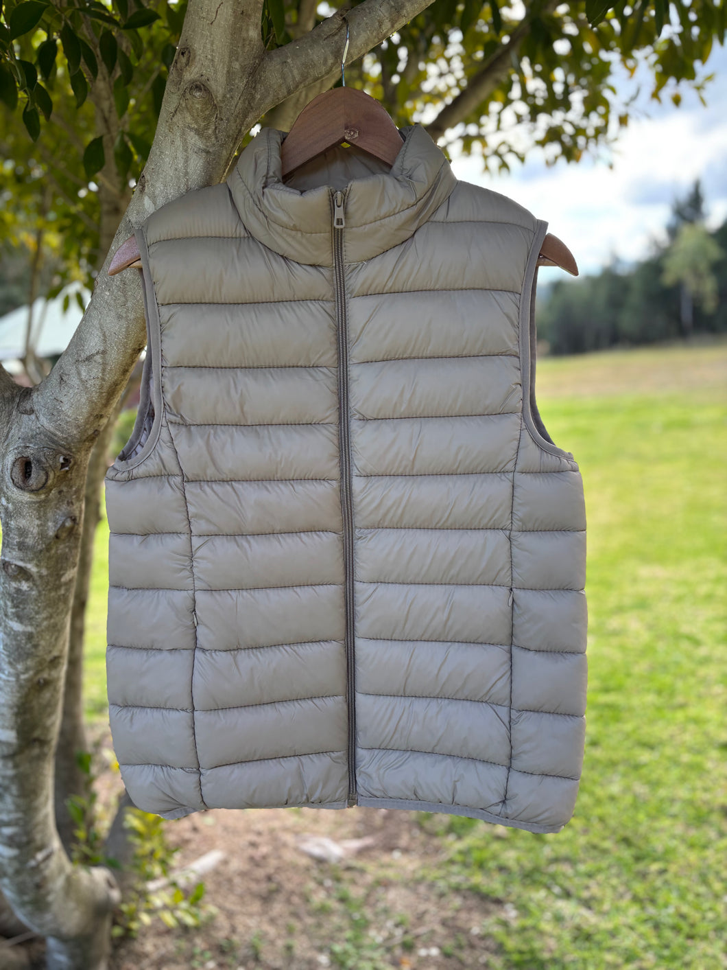 The Alpine Puffer Vest