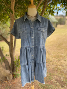 Carisa Denim Dress