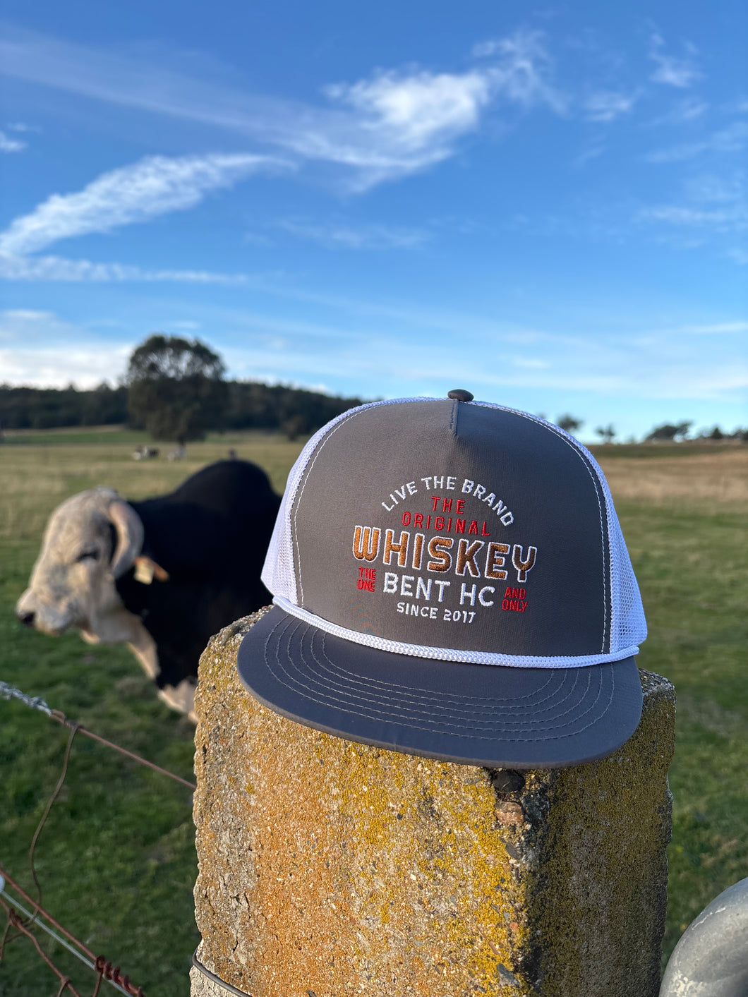Whiskey Bent Cap -The straight gunmetal