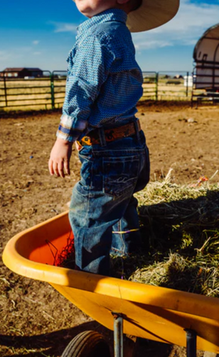 CC Jeans - Toddler Bootcut Relaxed - Dark Wash