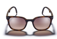Gidgee Eyewear - Canter - Tortoise Sunglasses