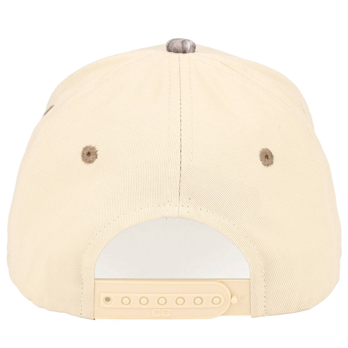 RAISING HELL Two Tone Cap