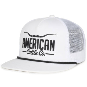 Longhorn Hat - White & Gold