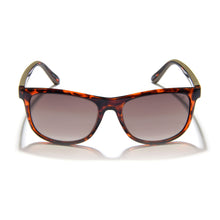 Gidgee Eyewear - Fender - Amber Tort Sunglasses